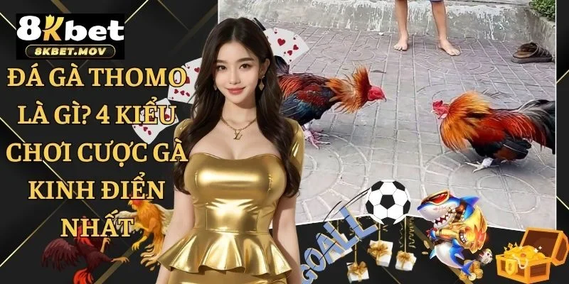 đá gà Thomo