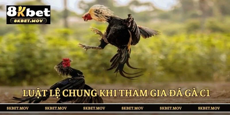 Luật lệ chung khi tham gia đá gà C1
