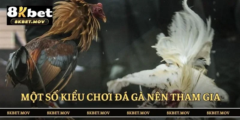 Một số kiểu chơi đá gà nên tham gia tại 8KBET