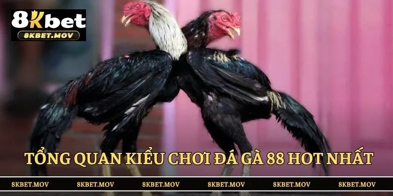 Tổng quan kiểu chơi đá gà 88 hot nhất