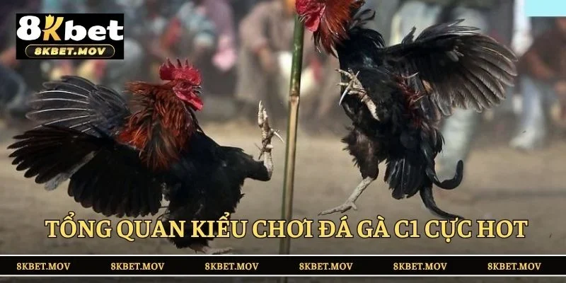 Tổng quan kiểu chơi đá gà C1 cực hot
